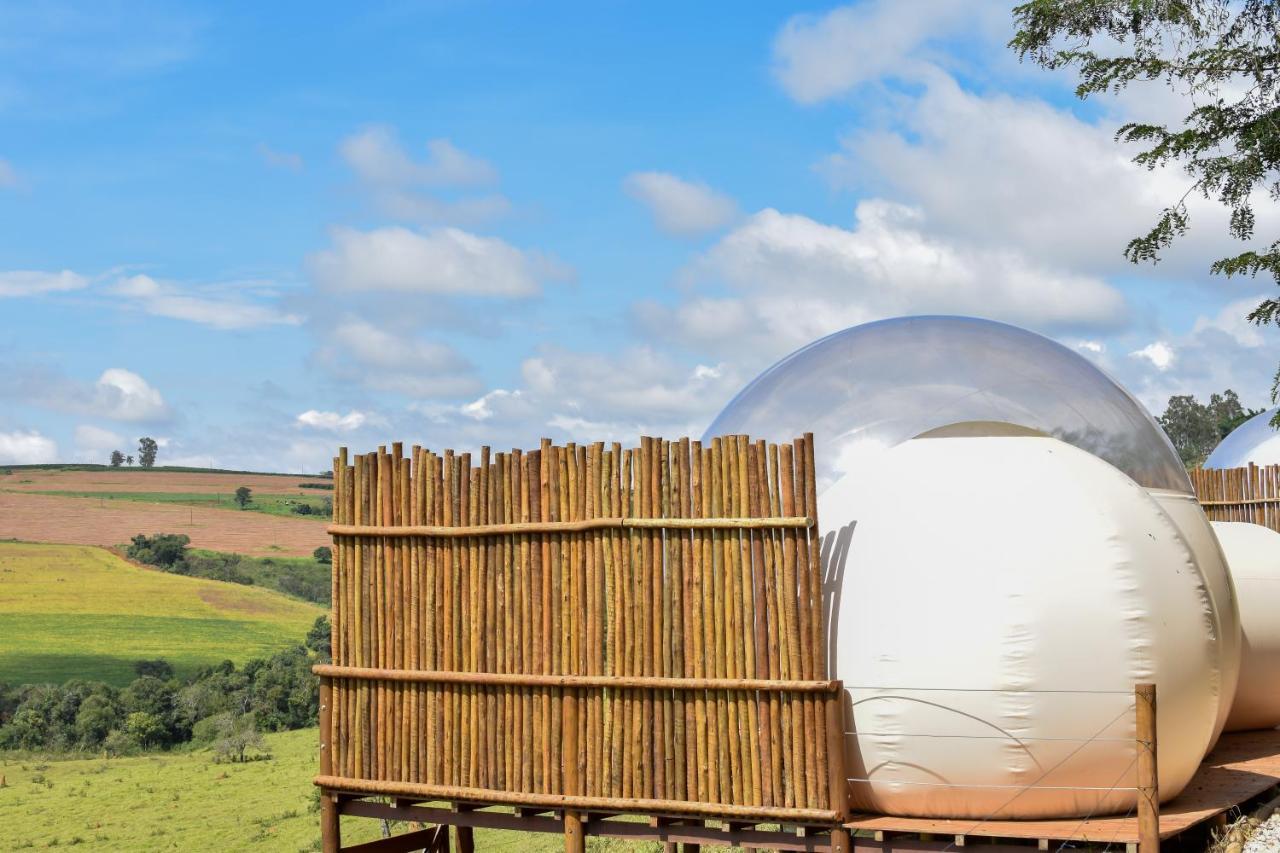 Bubble Pingo Do Mula Serra Da Canastra Sao Roque de Minas Luaran gambar