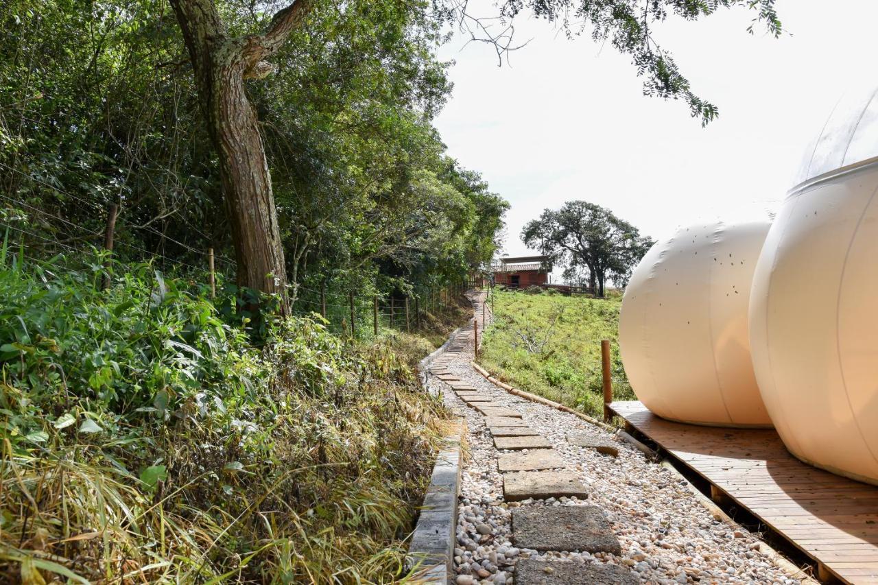 Bubble Pingo Do Mula Serra Da Canastra Sao Roque de Minas Luaran gambar
