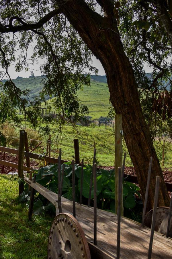 Bubble Pingo Do Mula Serra Da Canastra Sao Roque de Minas Luaran gambar